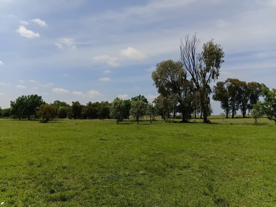 4 Bedroom Property for Sale in Senekal Free State